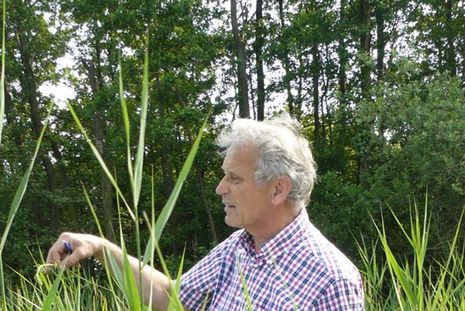 Botaniker Dr. Erik Christensen erfasst für die AG Geobotanik Schleswig-Holstein &amp;amp; Hamburg die Pflanzenvorkommen im Kreis Plön.