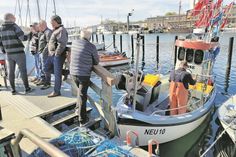 Frischer Fisch direkt vom Kutter. (Foto: www.luebecker-bucht-ostsee.de_Fischeramt).