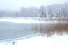 Anke Eggers hat die zarte, stille Winterstimmung in Süsel fotografisch eingefangen.
