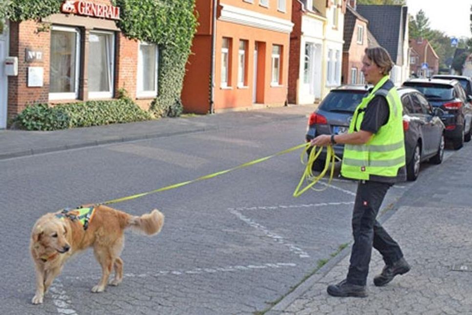 Während der Suche werden Hund und Hundeführer durch sogenannte „Flanker“ (re.) zu den Seiten und nach hinten hin abgesichert
