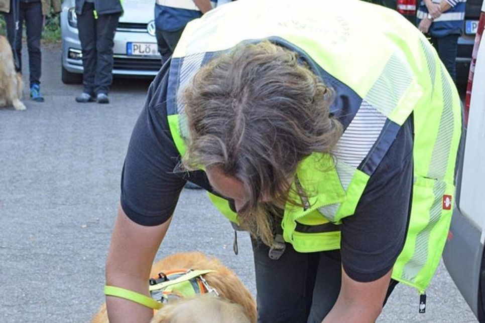 Ob im Einsatz oder bei einer Übung, zuerst nimmt der Suchhund (hier Lilly) die Witterung auf