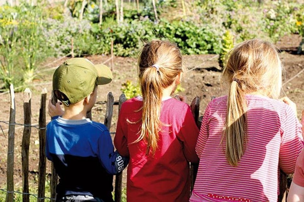 Die Stiftungen der Sparkasse Holstein bieten tolle Osterferienprogramme an ihren Bildungsorten im Küchengarten?…