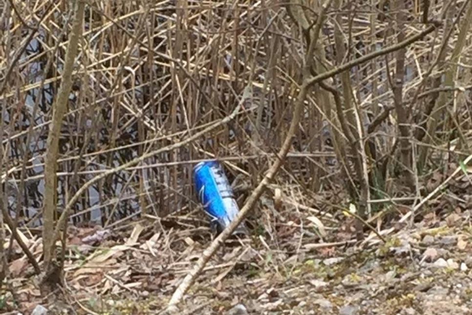 Der Müll wurde auch in die dort befindlichen Teiche geworfen.