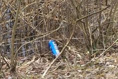 Der Müll wurde auch in die dort befindlichen Teiche geworfen.