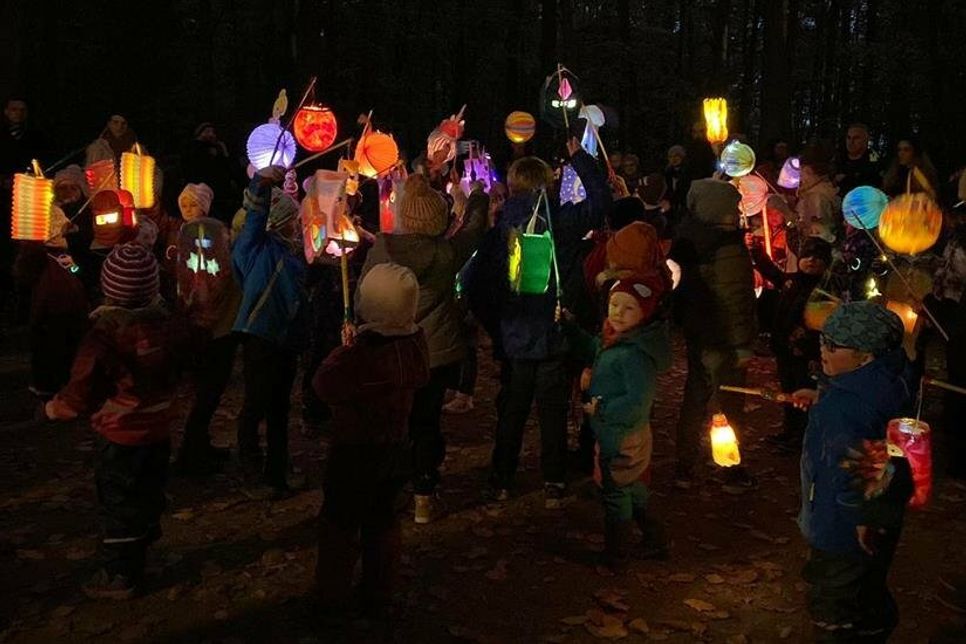 Mit ihren bunten Laternen erstrahlten die Kinder das Kaisergehölz.