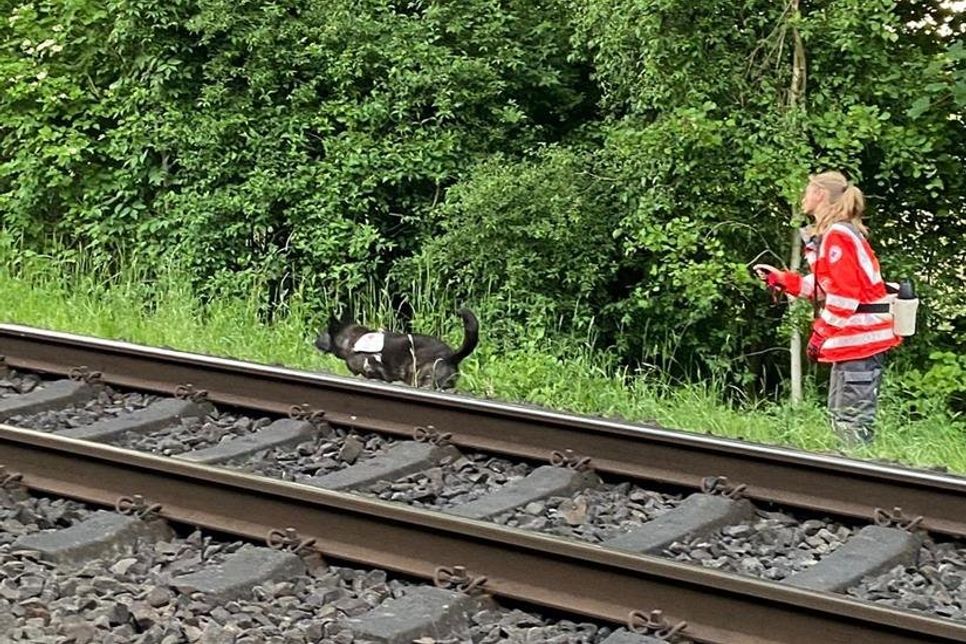 Suche nach der vermissten Person.