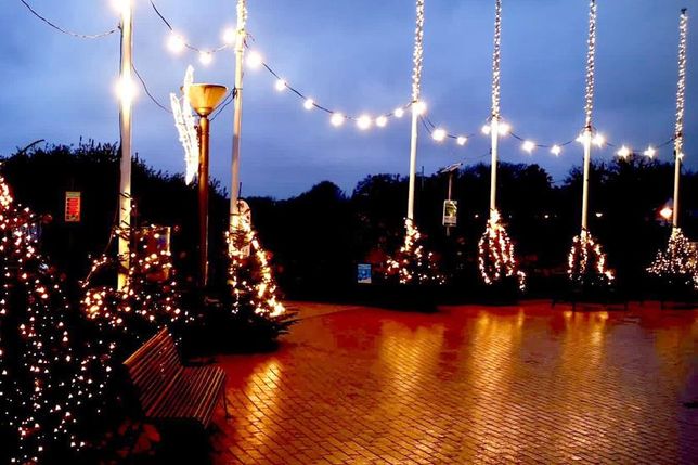 Der Seebrückenvorplatz im Lichterglanz: Der Ortsbeirat lädt wieder zum Bäumeschmücken, Glühwein und zu guten Gesprächen für einen guten Zweck ein.