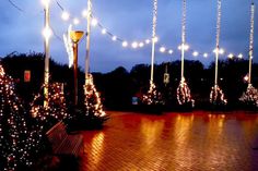 Der Seebrückenvorplatz im Lichterglanz: Der Ortsbeirat lädt wieder zum Bäumeschmücken, Glühwein und zu guten Gesprächen für einen guten Zweck ein.