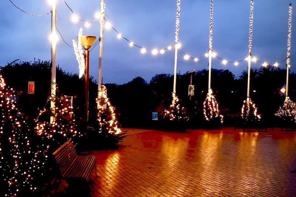 Der Seebrückenvorplatz im Lichterglanz: Der Ortsbeirat lädt wieder zum Bäumeschmücken, Glühwein und zu guten Gesprächen für einen guten Zweck ein.