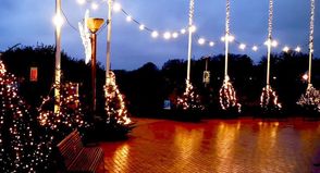 Der Seebrückenvorplatz im Lichterglanz: Der Ortsbeirat lädt wieder zum Bäumeschmücken, Glühwein und zu guten Gesprächen für einen guten Zweck ein.