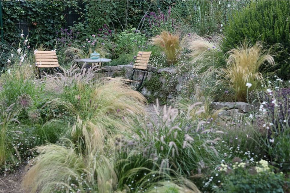 Gartenglück hautnah - das bietet die „Aktion Offener Garten“ am kommenden Wochenende. Mit dabei ist auch wieder das grüne Paradies von Ilka Mahro in Pelzerhaken.