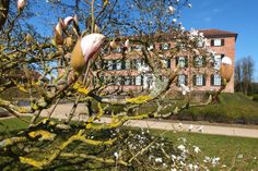 Der Pilgerweg führt durch den Schlossgarten.