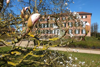 Der Pilgerweg führt durch den Schlossgarten.