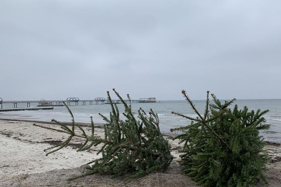 Ausgediente Weihnachtsbäume können vor der Schwimmbadwiese in Kellenhusen abgegeben werden.