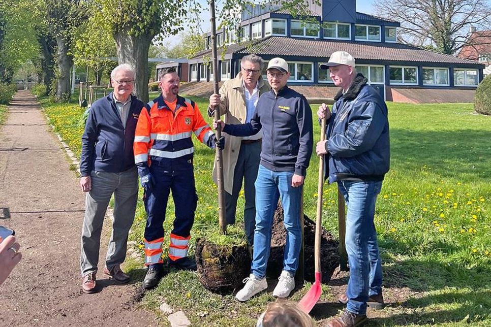 Eine Lücke nah dem Ahrensböker Rathaus wurde jüngst geschlossen: Nachdem drei von neugepflanzten Linden Ende des vergangenen Jahres mutwilliger Zerstörung zum Opfer gefallen waren, setzten Kiwanis und Gemeinde jetzt drei neue Bäume nach