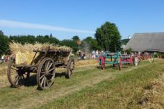 Auf dem Museumshof Lensahn kommen einige der historischen Geräte zum Einsatz, wie zum Beispiel die Lanz-Dreschmaschine, ein Stiftendrescher und die Windfege.