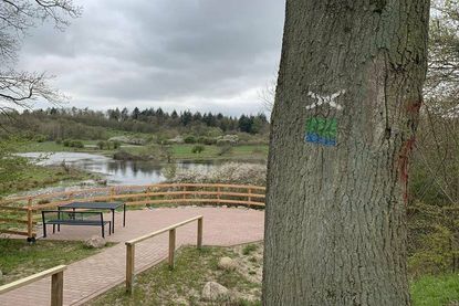 Am Stiftungsland Bekmissen lädt eine Aussichtsplattform zum Verweilen ein (2).