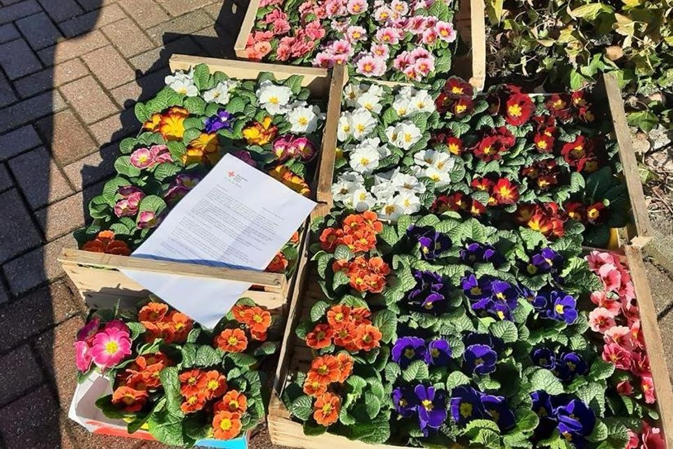 Frühlingsgruß für DRK-Mitglieder.