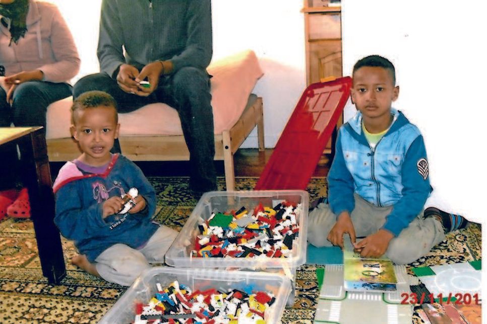Nimrod (lks.) und Hanos nahmen die neuen Spielsachen sofort in Beschlag.