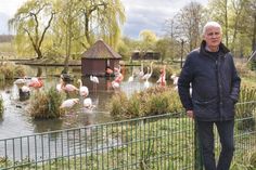 Schwere Zeiten auch für Klaus Langfeldt: Sein Vogelpark musste wegen des Coronavirus schließen, aber die Tiere, wie die Flamingos im Hintergrund, müssen weiter versorgt werden.