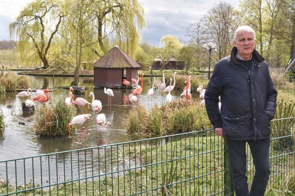Schwere Zeiten auch für Klaus Langfeldt: Sein Vogelpark musste wegen des Coronavirus schließen, aber die Tiere, wie die Flamingos im Hintergrund, müssen weiter versorgt werden.