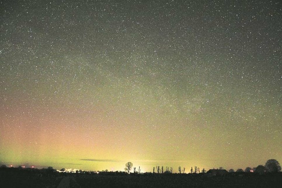 Beeindruckendes Himmelsspektakel am Nachthimmel: Susanne Müller fotografierte am 24. März dieses Nordlicht auf einem Feldweg bei Neustadt. Sie war über eine spezielle App über dieses Phänomen informiert worden.