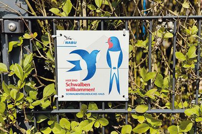 NABU-Plakette „Schwalbenfreundliches Haus“ in Stockelsdorf.