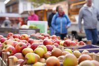 Frische Äpfel aus der Region – die ideale Zutat für schmackhafte Rezepte.