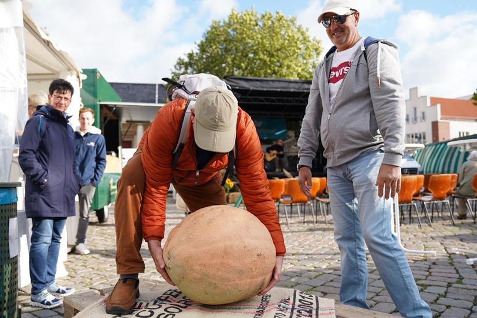 Starke Männer und große Kürbisse – bei der Aktion „Kürbis-Schätzen“ wurde der Ehrgeiz geweckt.