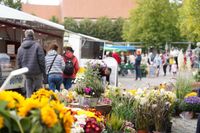 Herbstblumen in allen Farben locken die Besucherinnen und Besucher auf den Wochenmarkt.