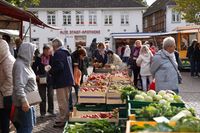 Herbstblumen in allen Farben locken die Besucherinnen und Besucher auf den Wochenmarkt.