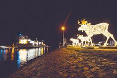 Comeback auf dem Priwall in Travemünde:  Die #TRelche sind zurück!