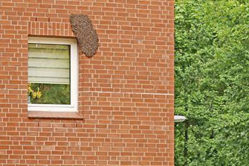 Foto: Carsten Pusch, hfr.