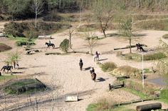 Der Reiterpark Max Habel ist ein rund 16 Hektar großer Gelände-, Reit- und Übungsplatz in Süsel. Träger ist der Pferdesport- und Förderverein Süseler Baum (PSFV).