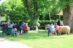 Haustiere aller Art sind beim Himmelfahrtsgottesdienst willkommen.