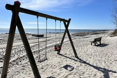 Am Strand in Rettin befinden sich nach der Sturmflut nur noch die Doppelschaukel und die Sitzbank.