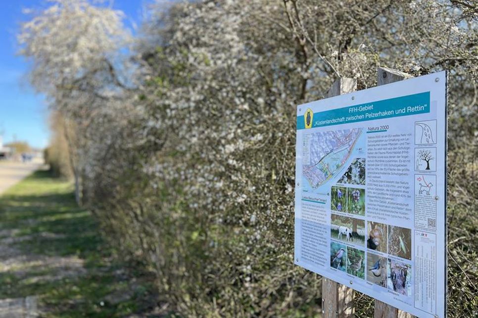 Die Informationstafel an der Promenade gibt Hinweise über das FFH-Gebiet.