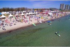 Surf Festival