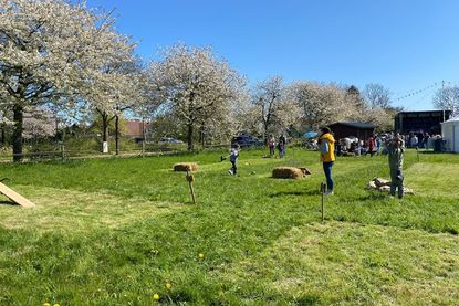 Das Kirschblütenfest in Kellenhusen ist eine Veranstaltung für die ganze Familie.