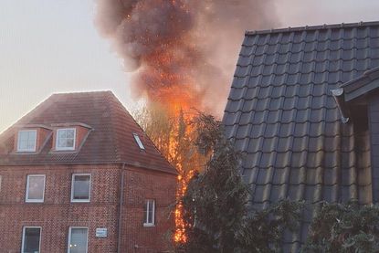 Das Feuer loderte zeitweise in voller Ausdehnung und griff auf mehrere Bäume über. (Foto: Gudrun Schmidt)