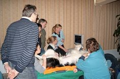 Kleintierpraktiker werden von Referenten der Tierärztlichen Hochschule Hannover weitergebildet.
