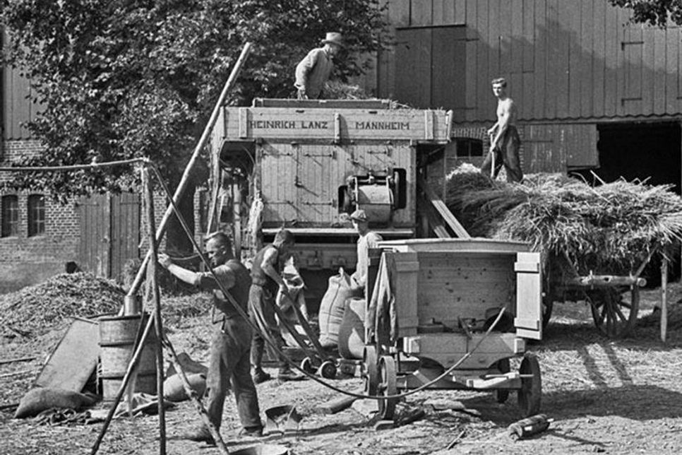 Dreschen bei Stoltenberg, 1939