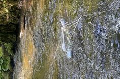 Mit einem Probenahme-Netz für Mikroplastik wurde die Fließgeschwindigkeit des Baches gemessen.