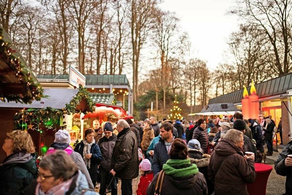 Adventsstimmung kommt auf im Malenter Weihnachtsdorf.