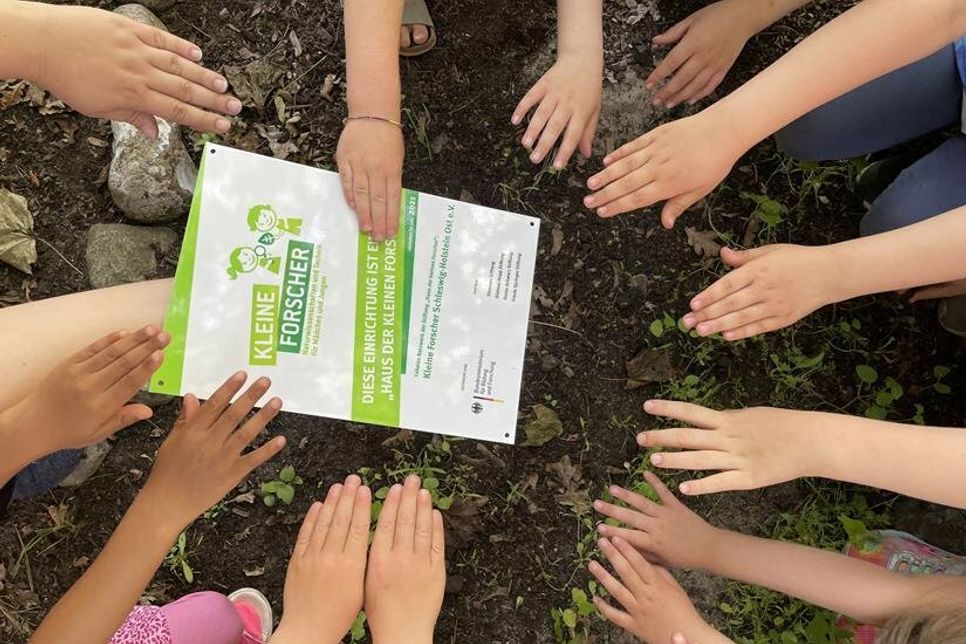 Die Stiftung „Haus der kleinen Forscher“ fördert frühes Interesse an MINT-Fächern.
