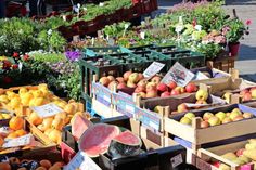 Bunte Kräuter und frische Produkte sowie Blumen- und Pflanzenvielfalt präsentierten die Händler beim gestrigen Themenwochenmarkt.