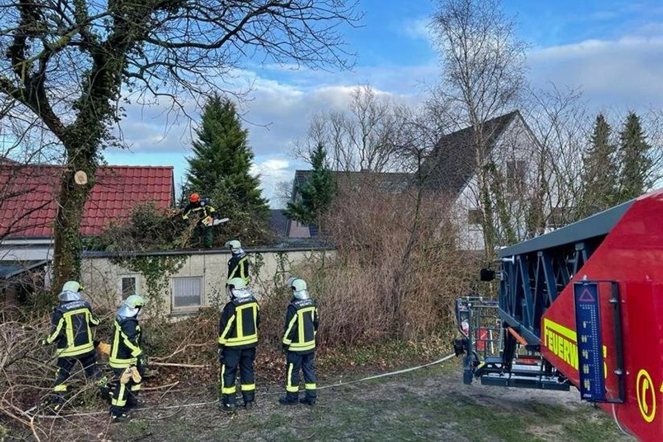 Mehrfach mussten Bäume beseitigt werden, die in Schräglage geraten waren.