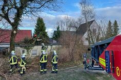 Mehrfach mussten Bäume beseitigt werden, die in Schräglage geraten waren.