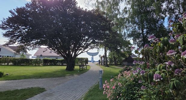 Die Buche (lks.) und die Birke (re.) im Kurpark, beide vom Pilzbefall betroffen, müssen in den kommenden Tagen entfernt beziehungsweise zurückgeschnitten werden.
