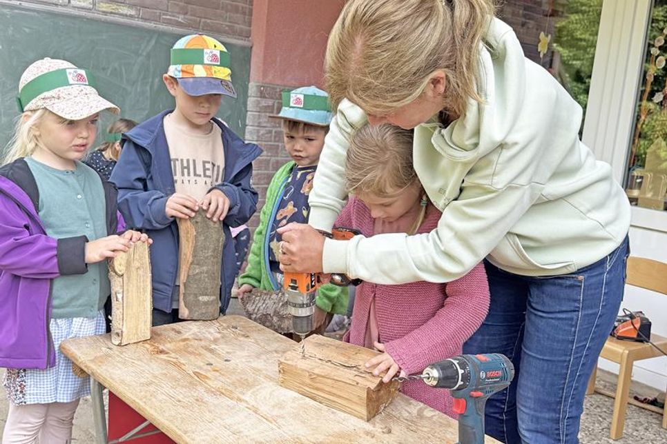 Geeignetes Holz (Infos gibt’s beim NABU) und eine Bohrmaschine mit verschieden großen Bohrern braucht es, um für Wildbienen geeignete Nisthilfen zu bauen.
